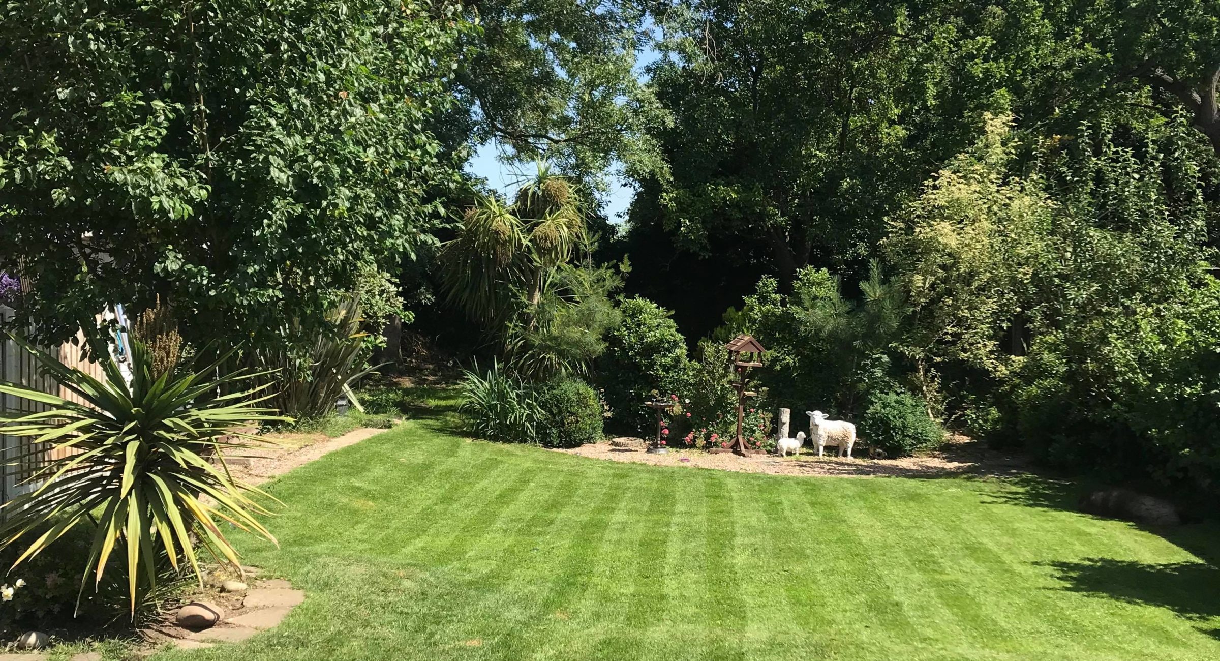 67211146_2409818249266397_3671780645295620096_n