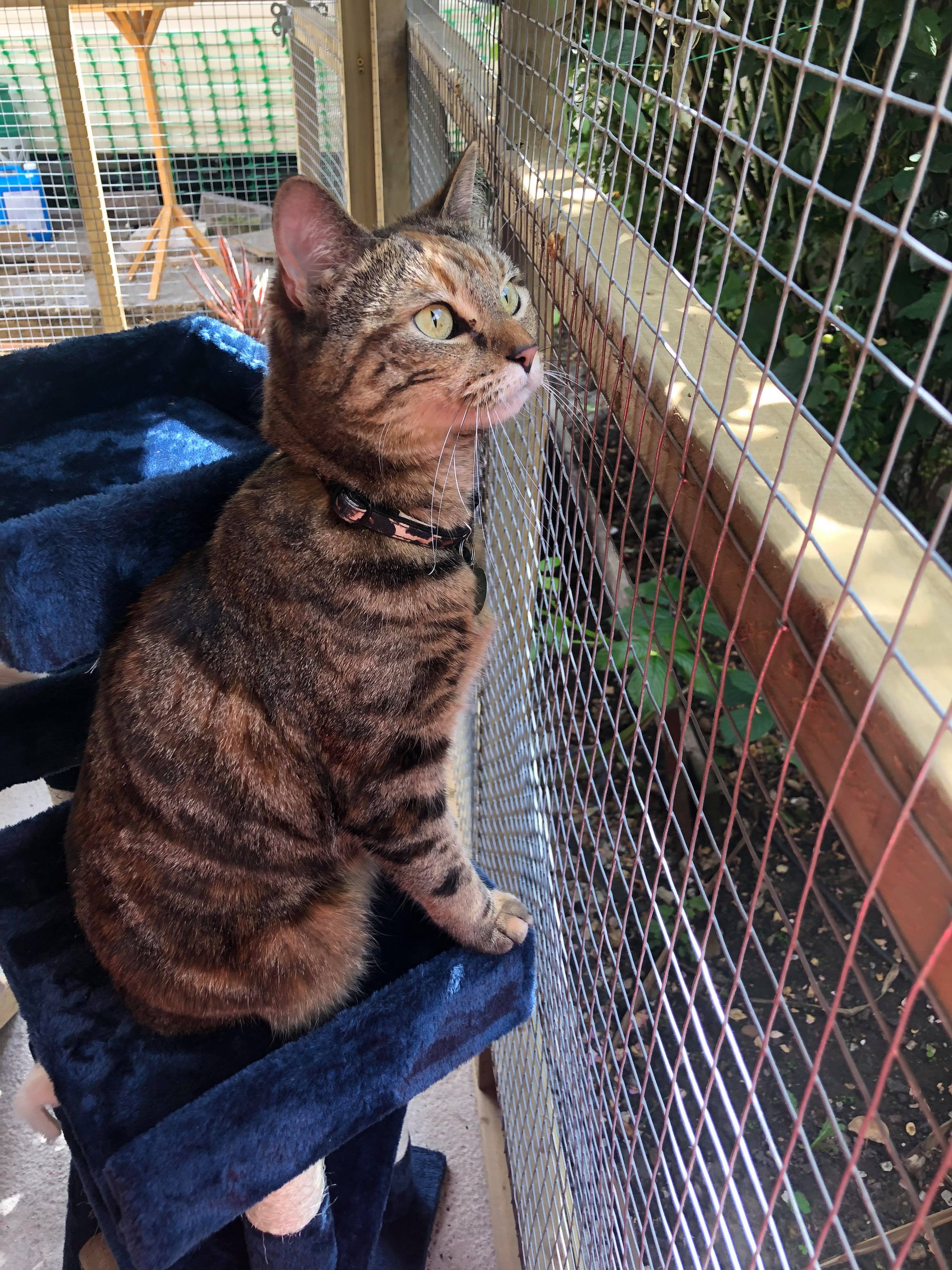 67244006_457329641773027_4708769819963424768_n