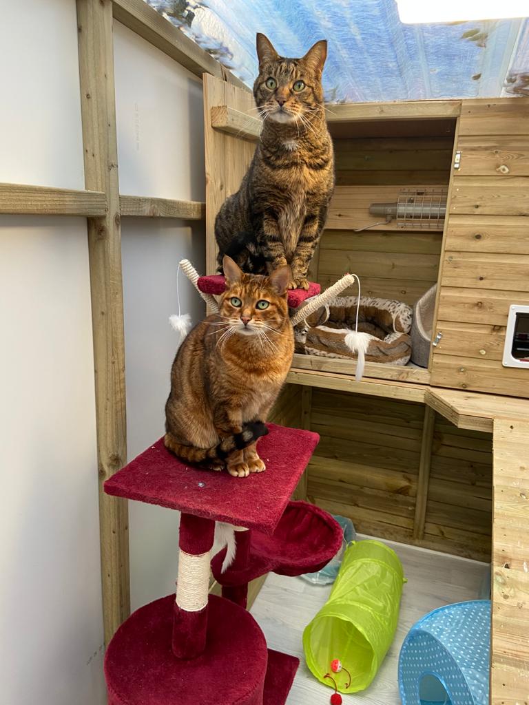 09EA5079-2453-4E4D-813F-76FCCDF3F338