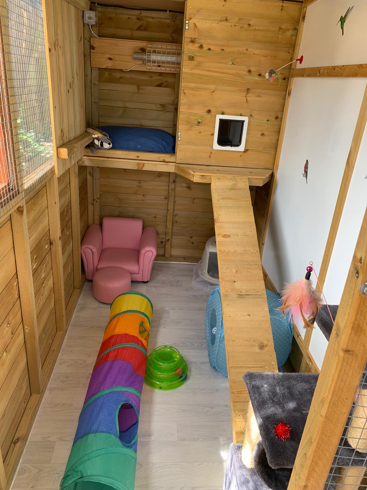 Pussy Cat Hillton Luxury Cattery in Rainham