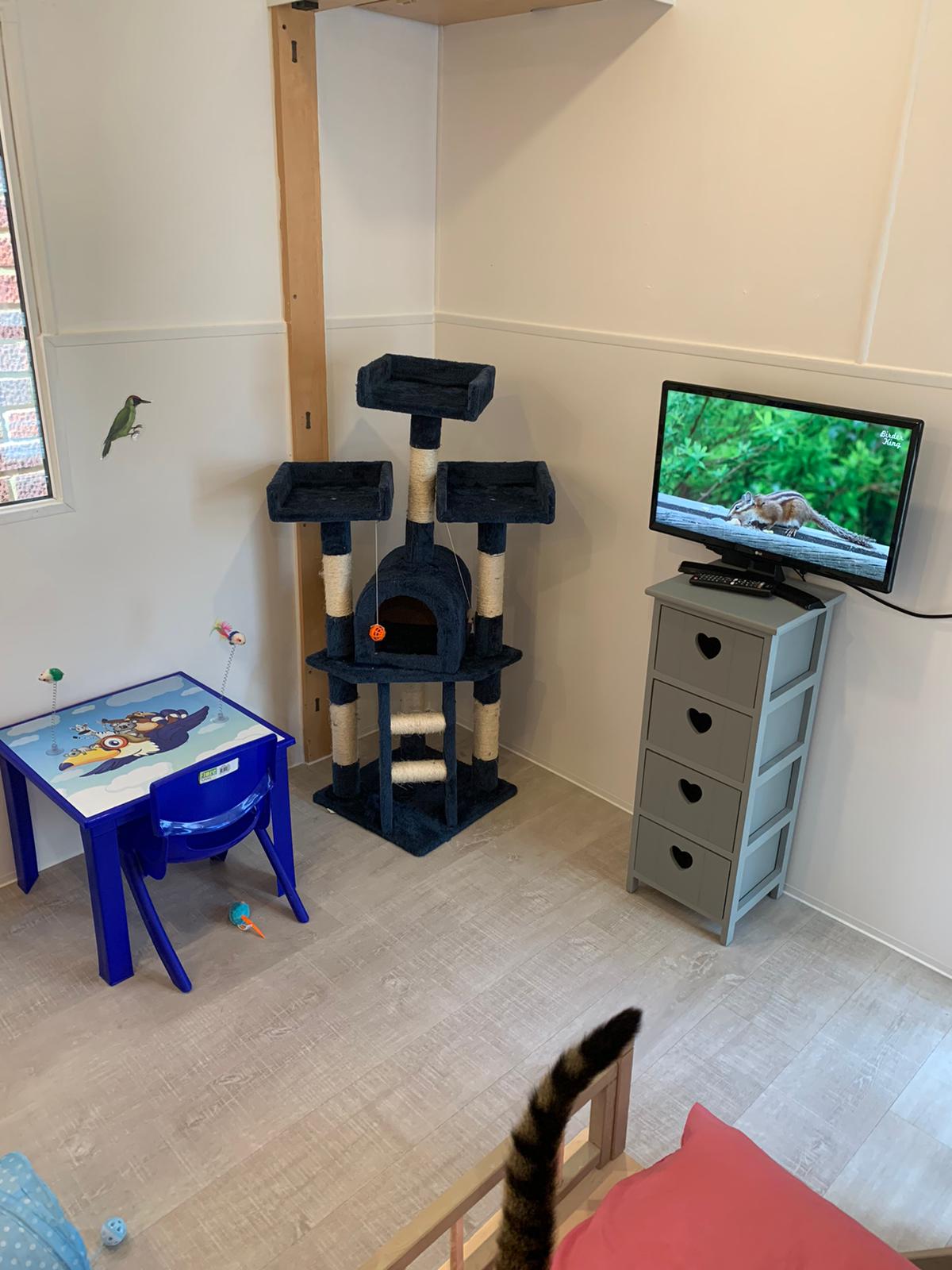 657F84B3-F196-413E-8233-5CE3AE3DFFCB