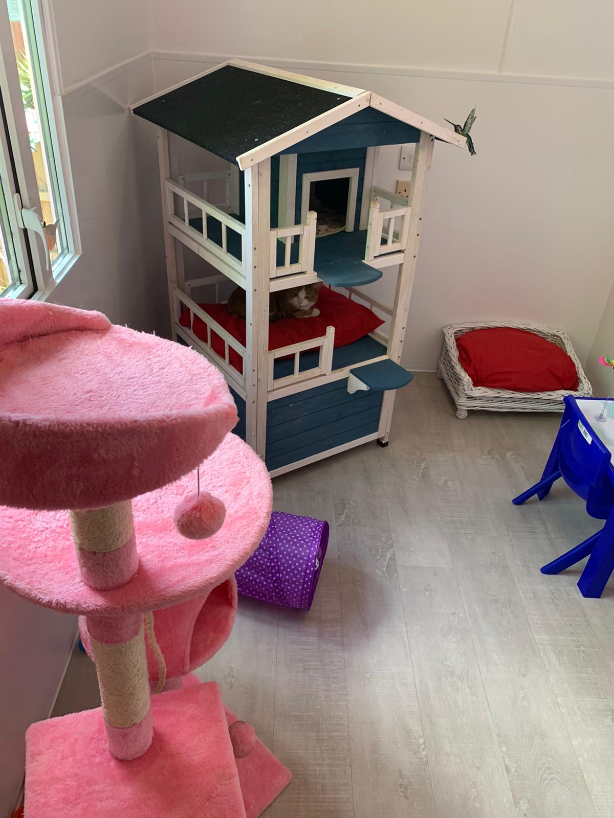 9B5AFDBA-DF1C-4D7A-B946-0F9C067775F7