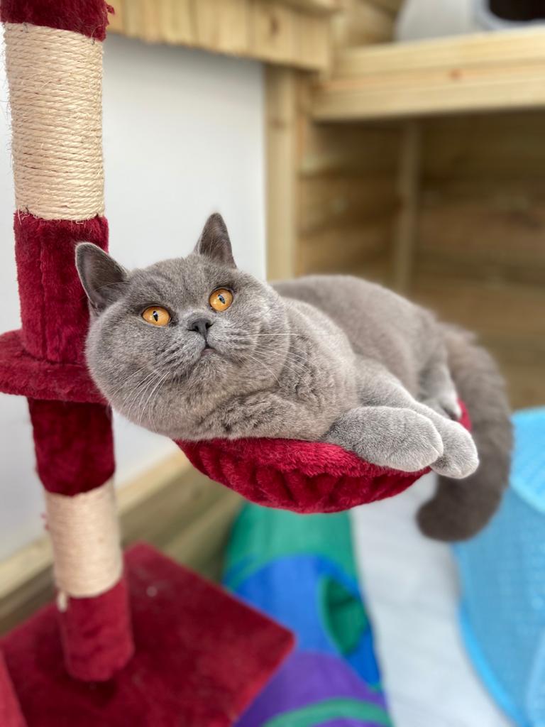 C85F8CFA-6EF5-4053-A0A5-C58AD45B8839