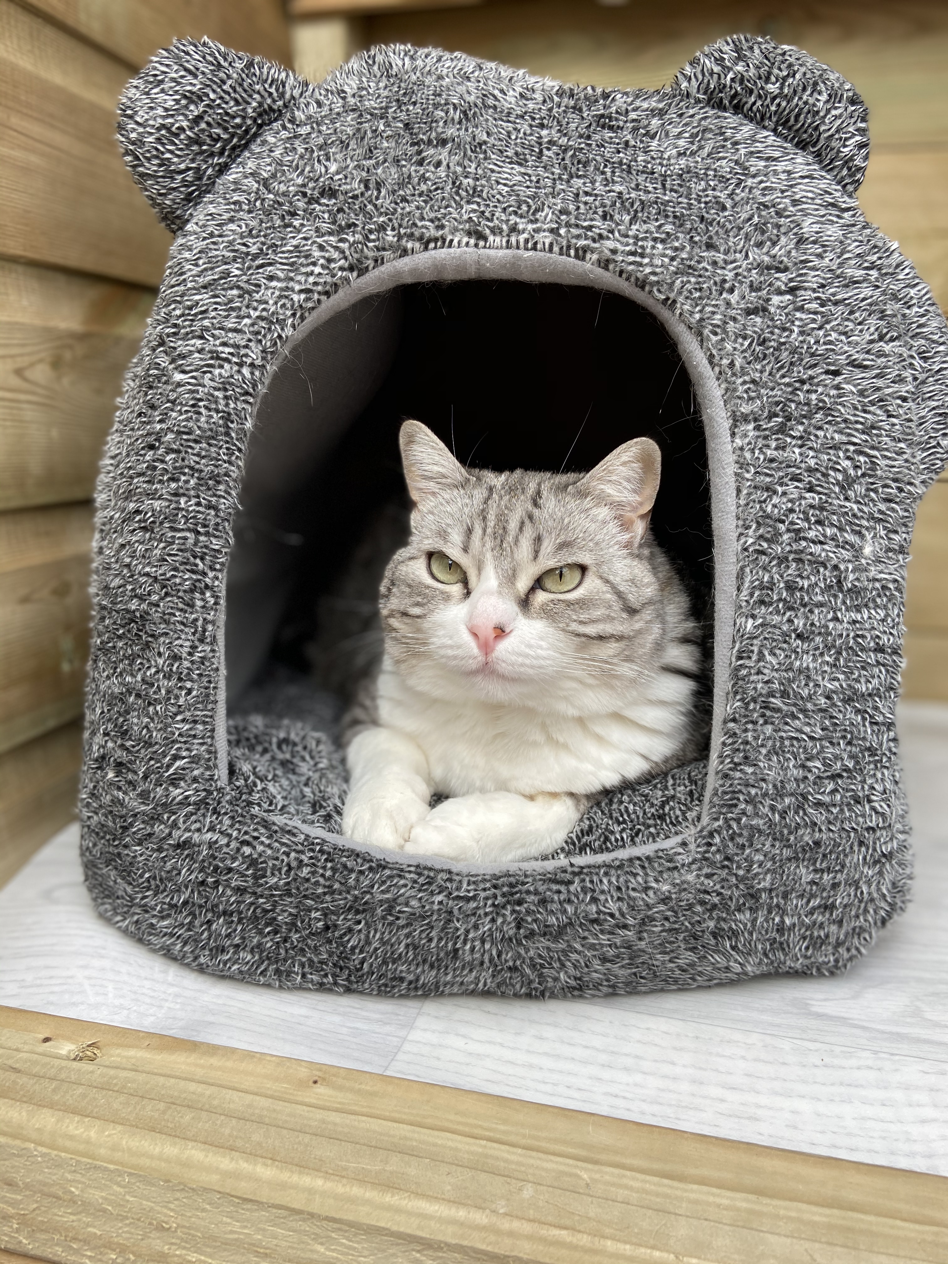 F7974F49-CD00-47E7-8B9C-3BAC9A75E10A